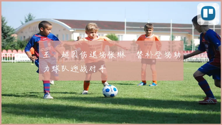 王燊超因伤退场张琳芃替补登场助力球队迎战对手